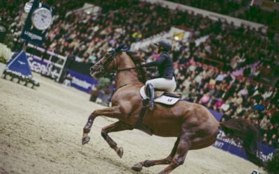 Helsinki Horse Show Ticket Sales Starts on February 1st