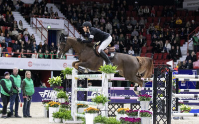Another Magnificant Helsinki Horse Show!