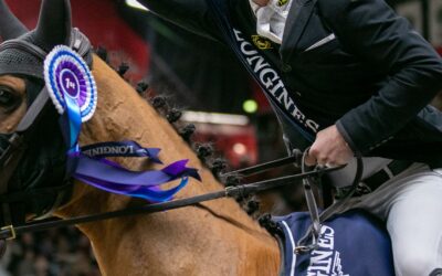 Helsinki Horse Show 2024 Program Announced February 1