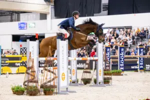 Kullo Kender ja Agilero, kuva Hanna Heinonen