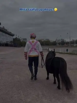 👀 Mitä täällä oikein tapahtuu? 📣 Hevonen yhdistää -ravit Vermossa 8.10.2025 👉 Osta liput 6.